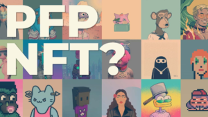 What are PFP NFTs?